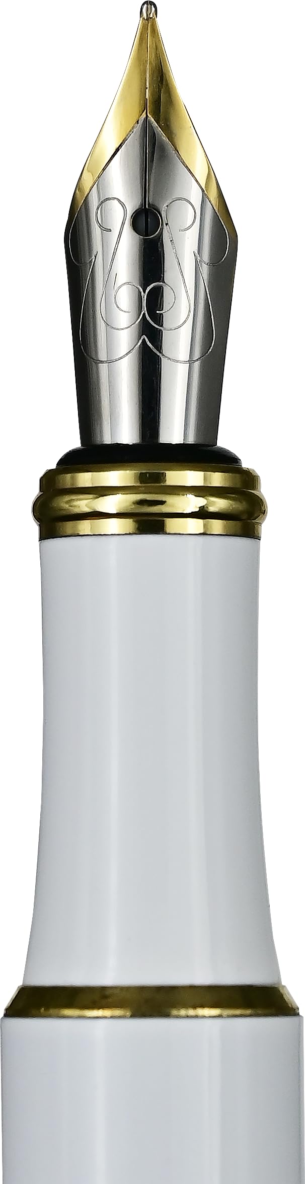 Wildflower Garden Fountain Pen (includes universal cartridge and piston converter)