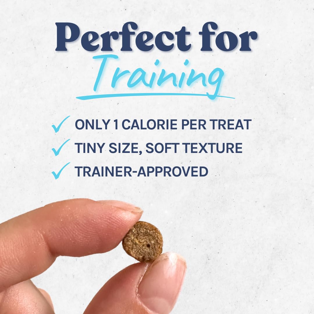 Healthybud Beef Mini Training Treats for Dogs Low-Calorie Soft Liver Treats for Puppies & Small Dogs with Reishi Lion’s Mane Pumpkin Salmon Oil Grain-Free and Made in Canada 6.5oz 3Pack Made in Canada