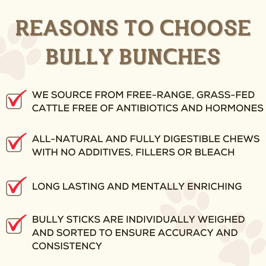 Bully Bunches Premium 6 Inch Thick Odour-Free Bully Sticks for Small & Medium Dogs - Long Lasting Chews for Oral Care - All Natural & Single Ingredient, 100% Beef Dog Treat, Rawhide Free (10 Pk)