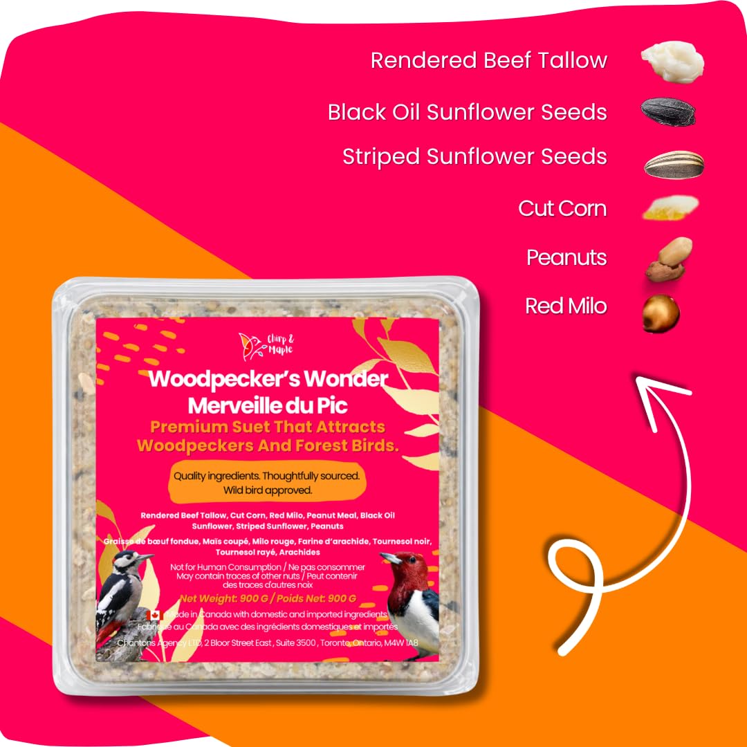 Chirp & Maple, Woodpecker’s Wonder, Suet for Wild Birds, Wild Bird Food for Woodpeckers (18-Pack), 5.4KG