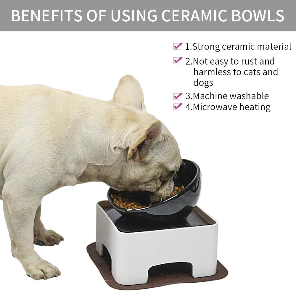 WZ PET Raised Tilted Dog Feeding Bowl,Elevated Ceramic Dog Bowls Set Anti-Slip,Standing Pet Feeding Dish for Small Medium Dogs and Cats,Black