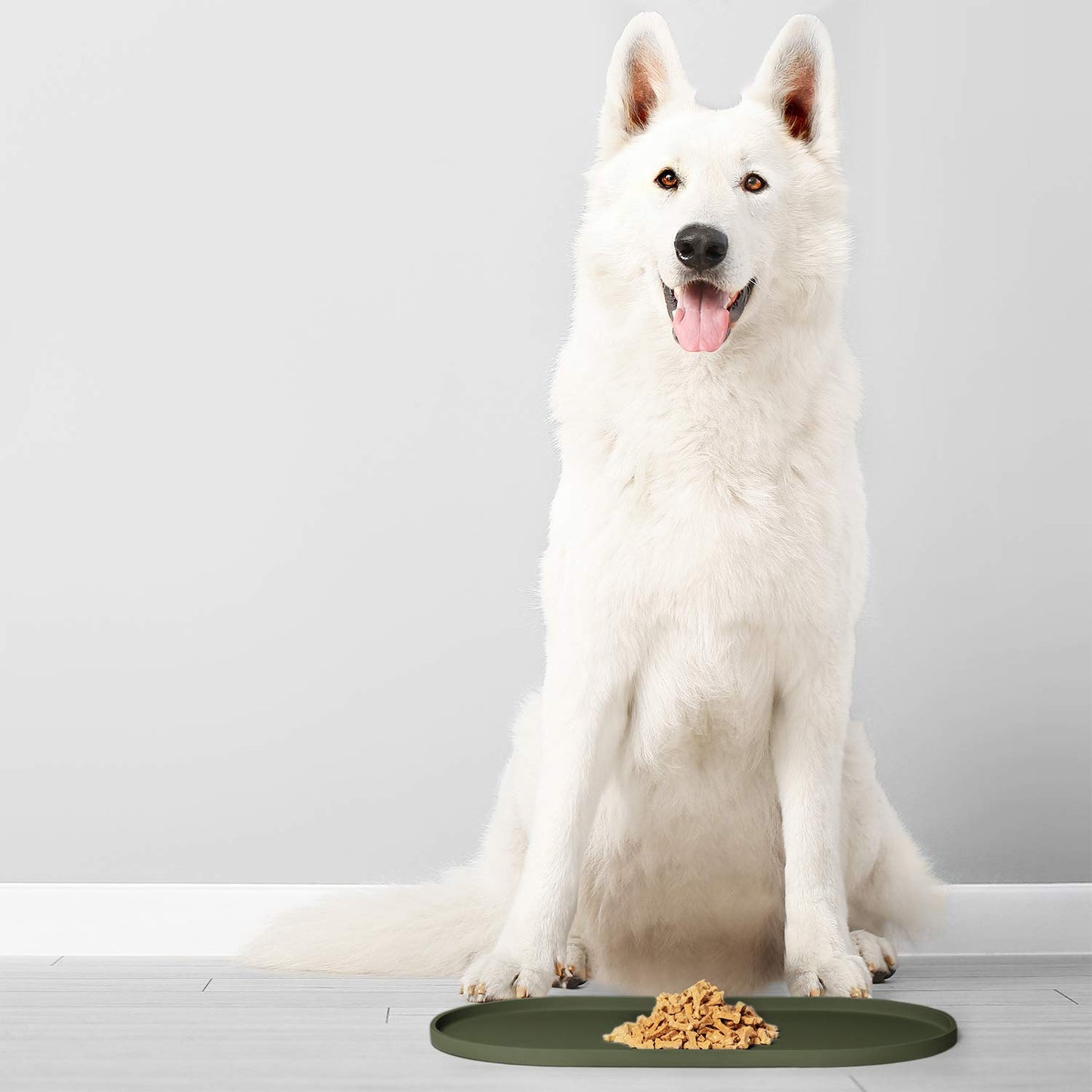 DogBuddy Dog Food Mat, Small (19x11), Large (24x14), Nonslip Pet Food Mat, Silicone Dog Bowl Mat, Washable Dog Mat for Food and Water, Waterproof Dog Food Mats for Floors (Large, Khaki Green)