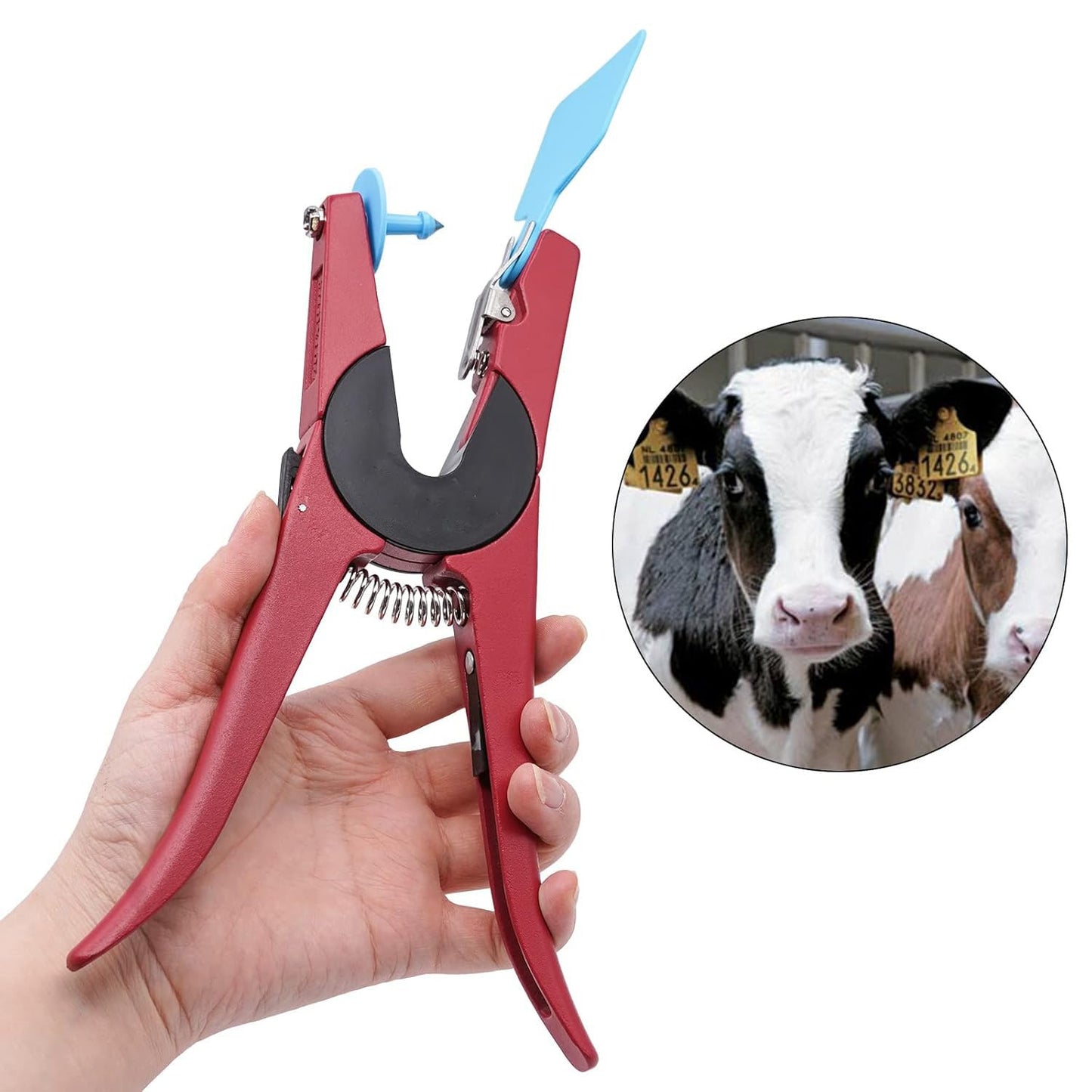 Blank 100 Sets Cattle Ear Tag With Applicator Livestock Kits for Pig Cow Dog (Blue)
