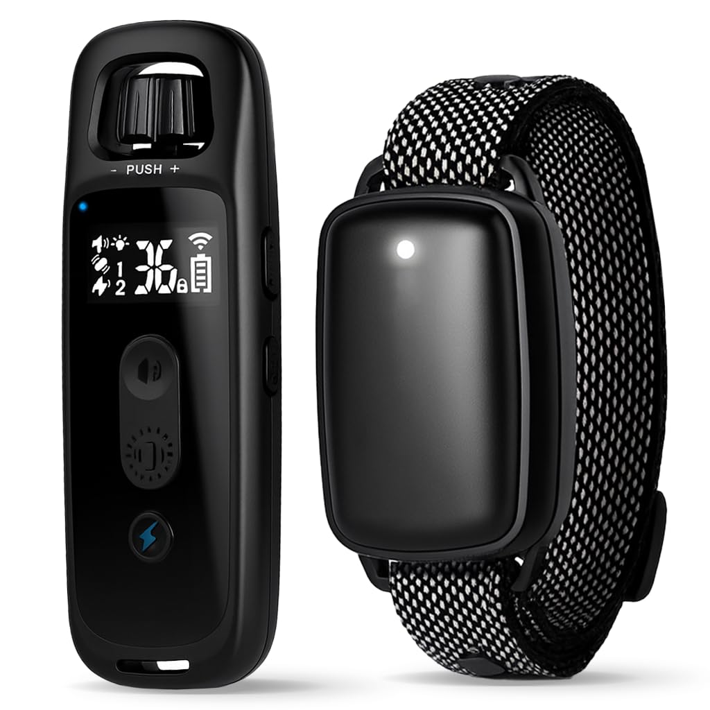 Dog Training Collar