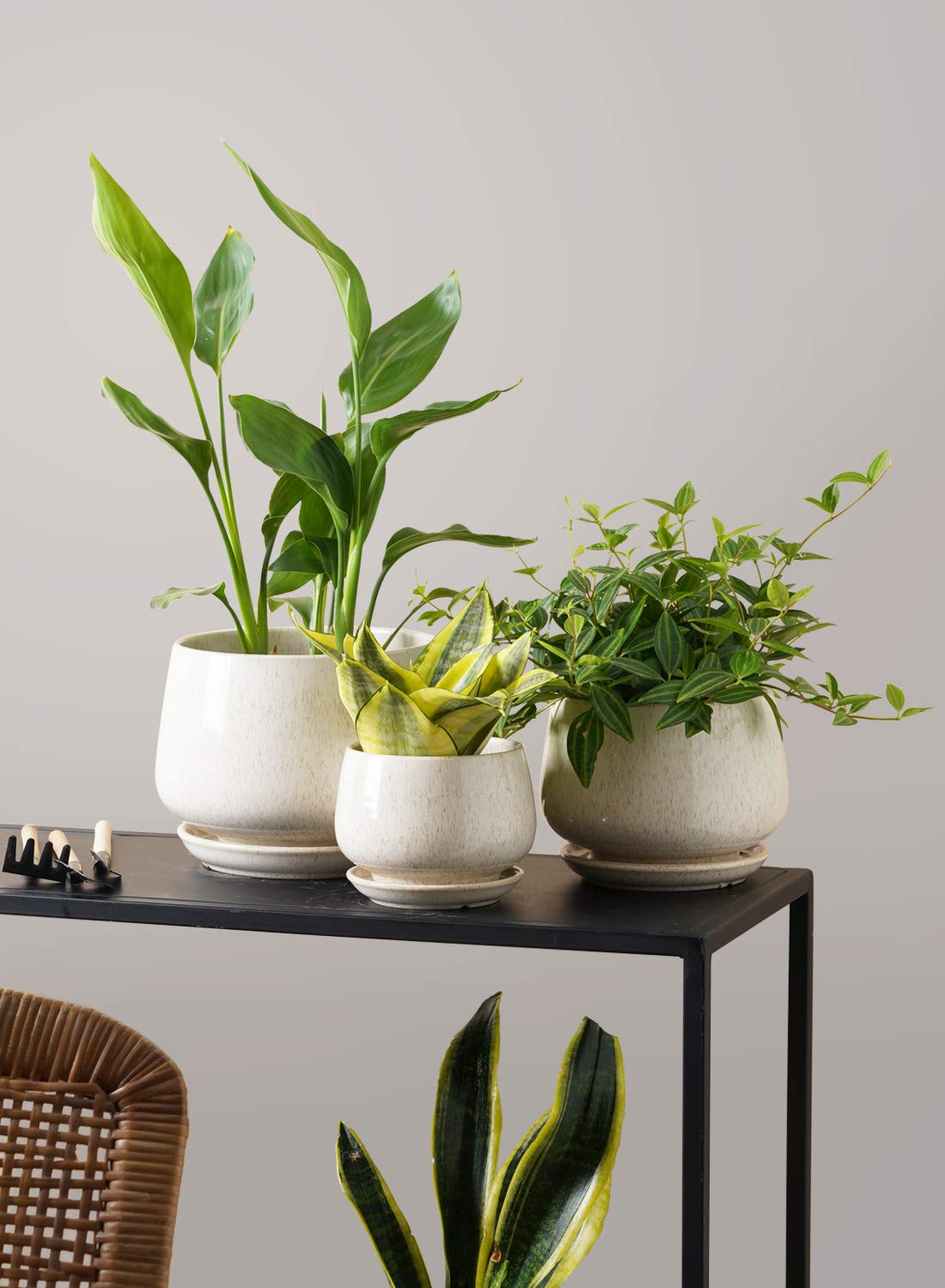 LE TAUCI Plant Pots for Indoor Plants, Set of 3, 4+5+6.5 Inch Ceramic Plant Pots with Drainage Hole & Saucer, Indoor Flower Pot with Mesh Pad, Pot Plante Interieur, Reactive Glaze Beige