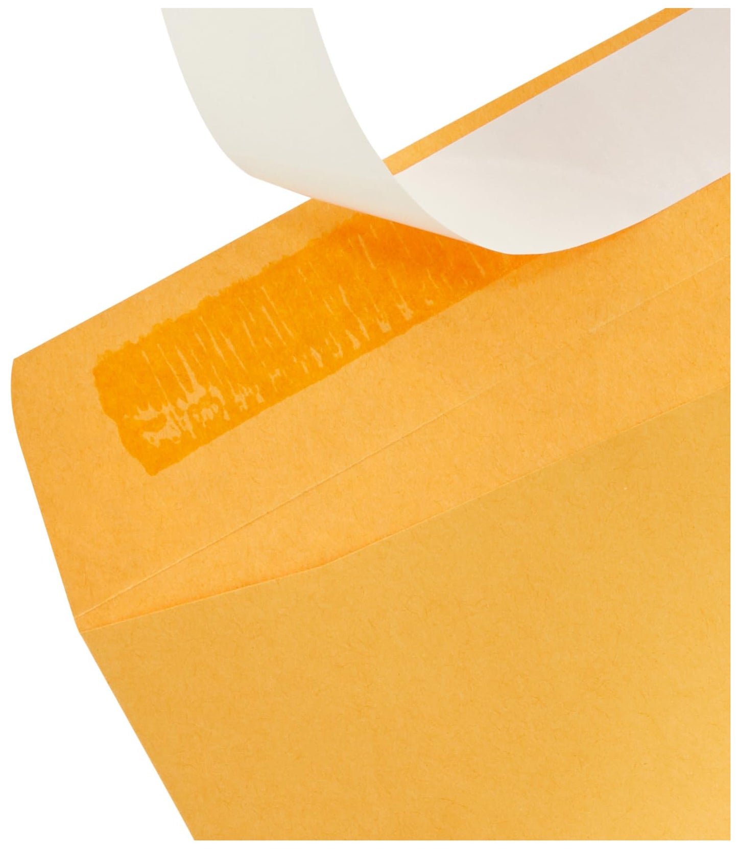 Amazon Basics Catalog Mailing Envelopes, Peel & Seal, 9x12 Inch, Brown Kraft, 100-Pack - AMZP13