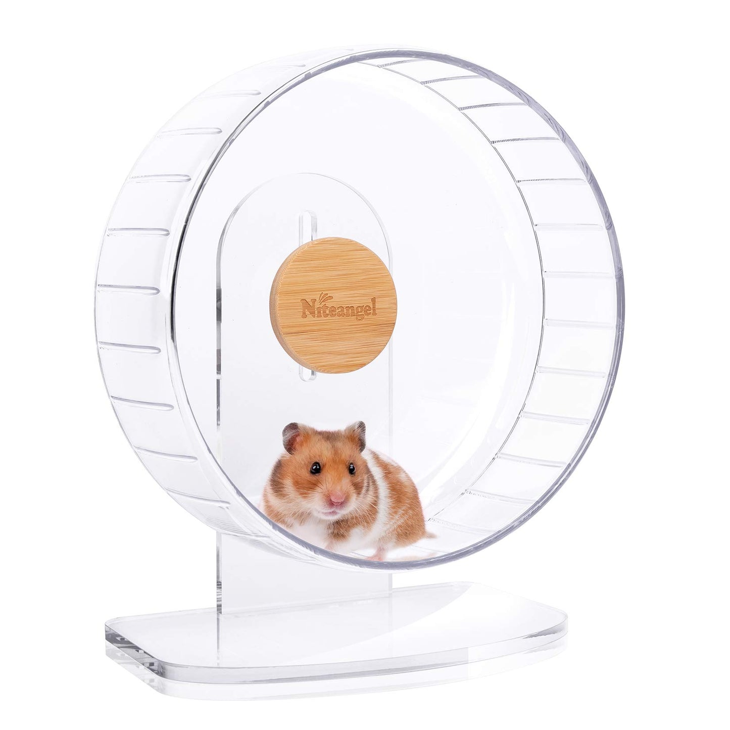 Niteangel Super-Silent Hamster Exercise Wheels - Quiet Spinner Hamster Running Wheels with Adjustable Stand for Dwarf Syrian Hamsters Gerbils Mice Or Other Small Animals (Transparent, Medium)