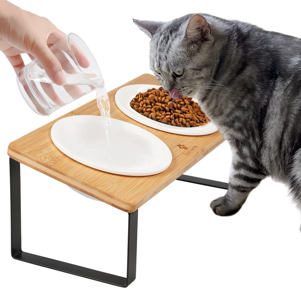 Sunhoo Cat Bowl Elevated Cat Food Water Bowls Raised Kitty Dish Set of 2 Ceramic 15° Tilted Puppy Dishes Pet Bowl with Bamboo Stand Indoor Anti Vomiting (Yellow)