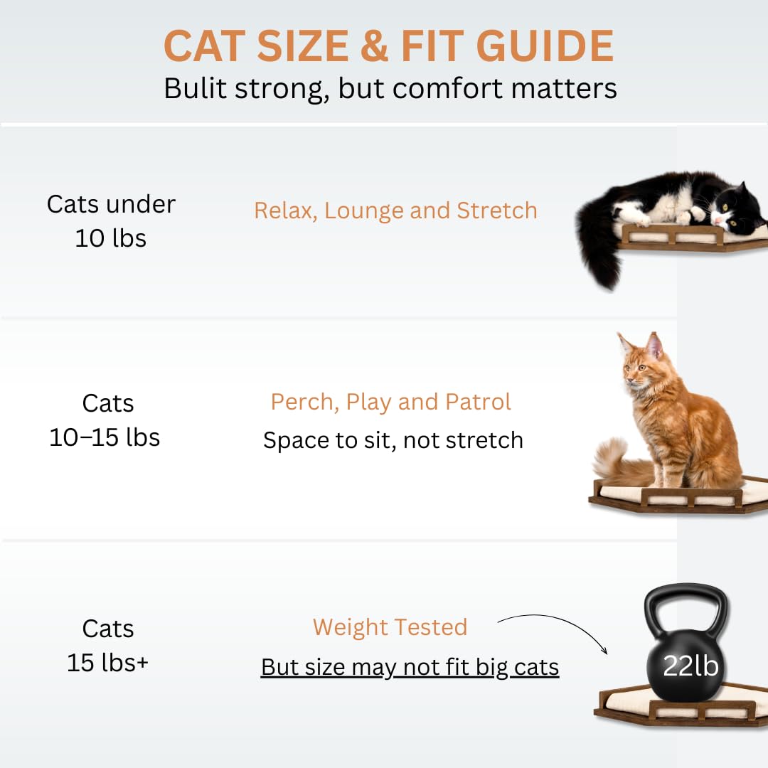 INICIO Cat Wall Shelves - Modern and Durable 3 Step Cat Furniture for Wall - Stylish Birch Floating Shelf for Cats up to 15lbs - Wooden Corner Shelves with Cushioned Perch - Brown