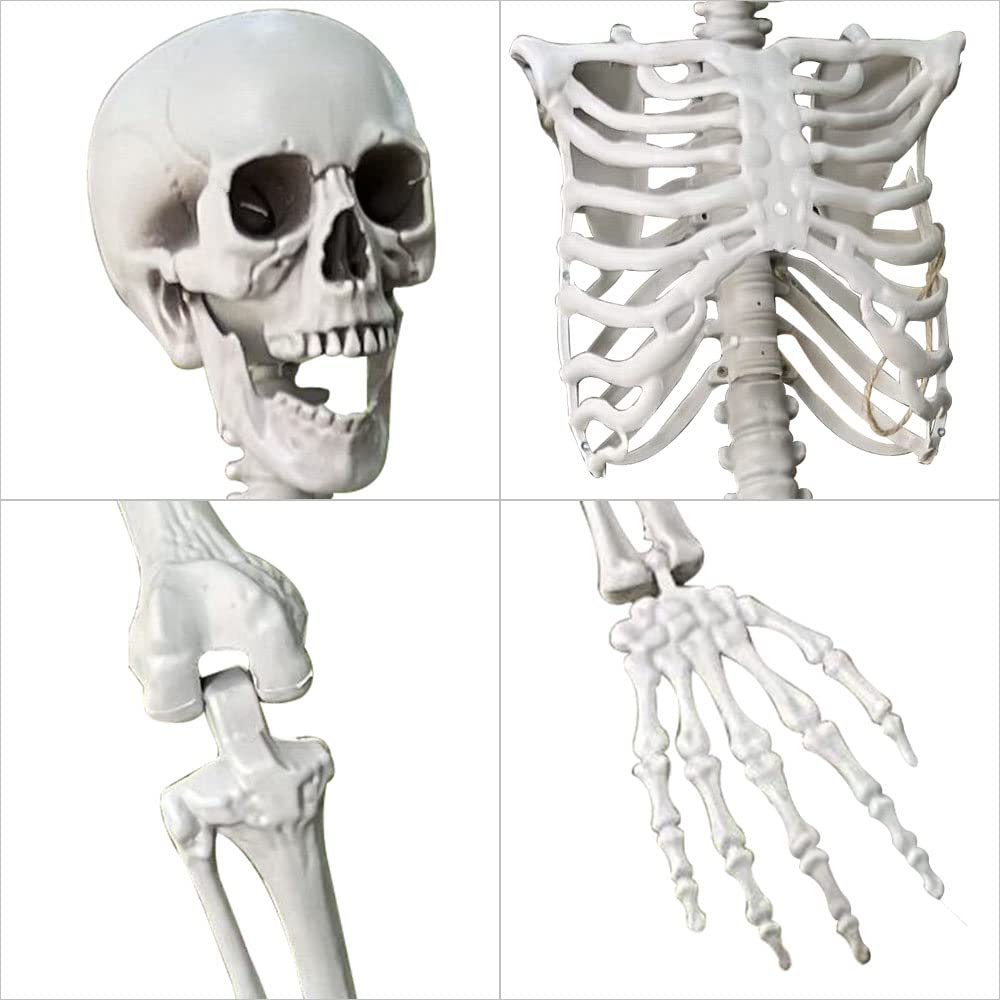 5.4Ft/165cm Halloween Life Size Skeleton Full Body with Movable Joints for Halloween Party Prop Scary Graveyard Haunted House Lawn Yard Decorations (Grey)