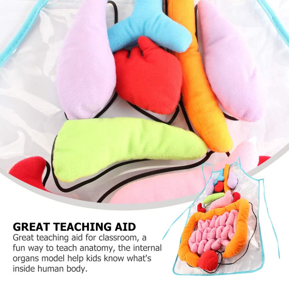 ULTECHNOVO Human Organs Apron Educational Teaching Apron for Children Early Learning Body Organ Model 23.62X17.32In Anatomy for Kindergarten Classroom Activities