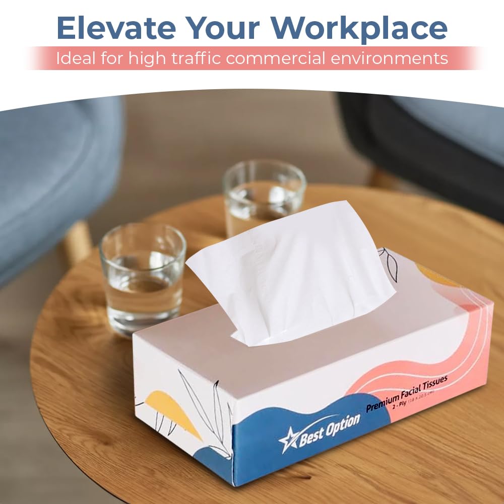 Soft 2-Ply Facial Tissue, White, 100-Count Box | Professional, Gentle and Durable | Great for Bathroom, Office, Business, School (1,200 Tissues, Bulk Pack of 12-Boxes)