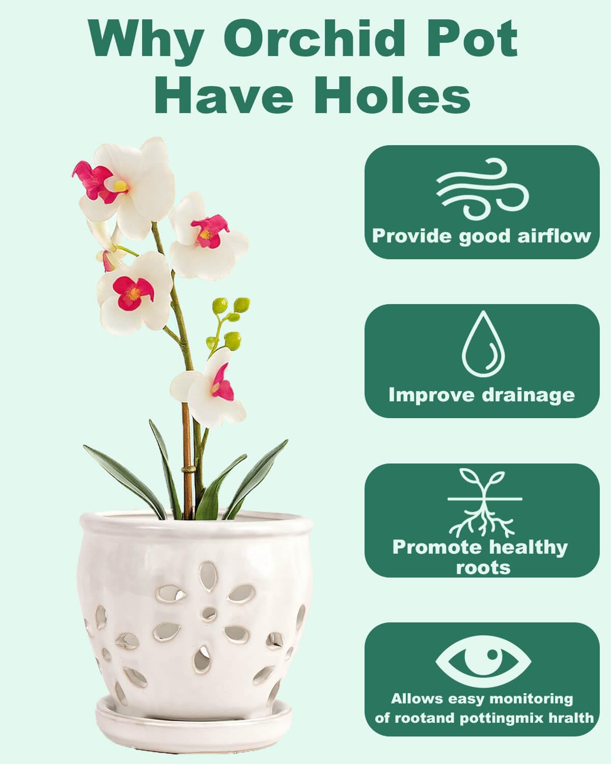 5 Inch Ceramic Orchid Pots with Holes and Saucers - 1 Pcs Small Ceramic Orchid Planter Pots for Repotting, Plant Flowerpots for Orchid Indoor and Outdoor Promotes Air Circulation, White