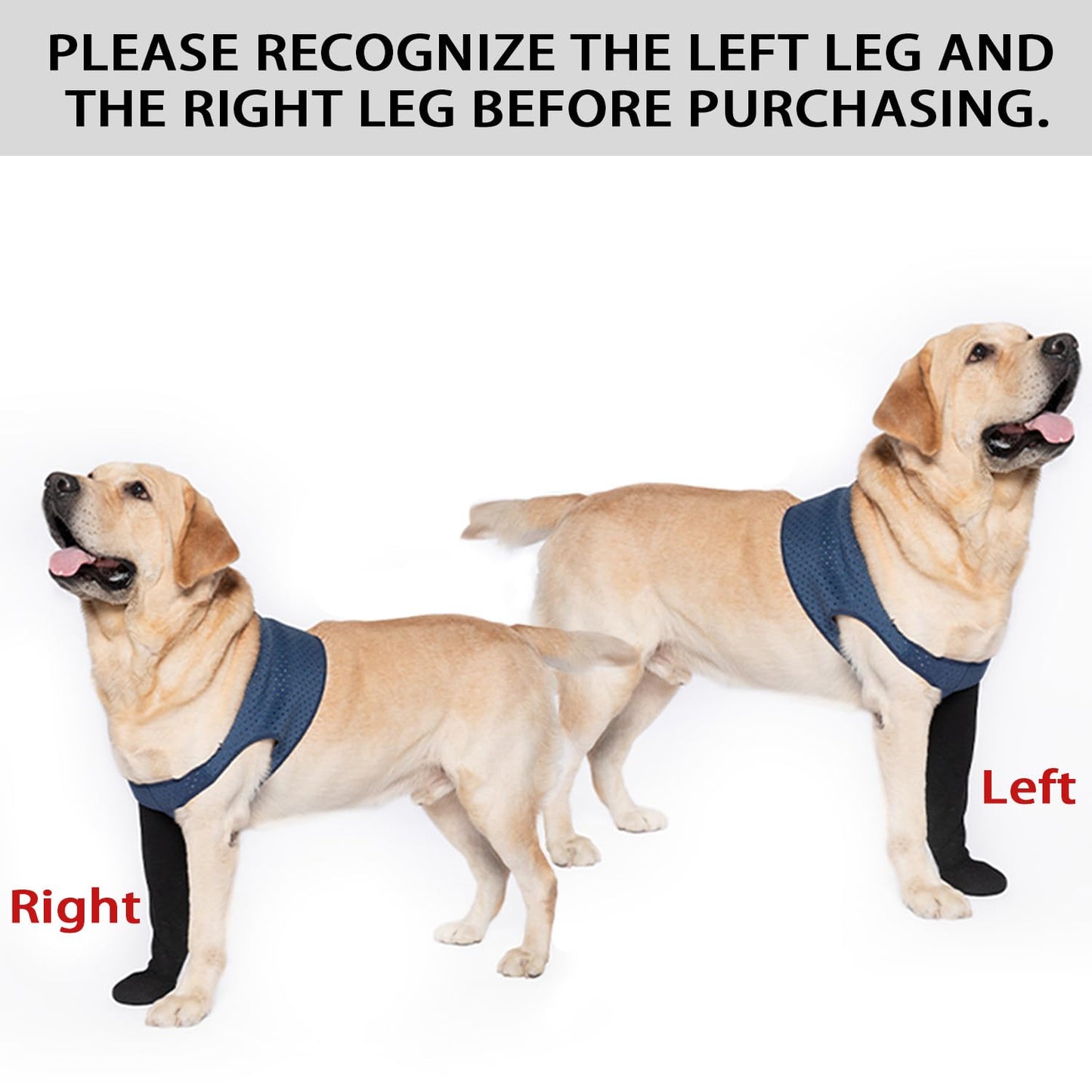 COODEO Dog Socks to Prevent Licking Paws, Healing Boots & Paw Protectors with Non-Slip Bottoms for Wound Protection, Waterproof Sleeve Shoes for Licking（Blue，L_Right