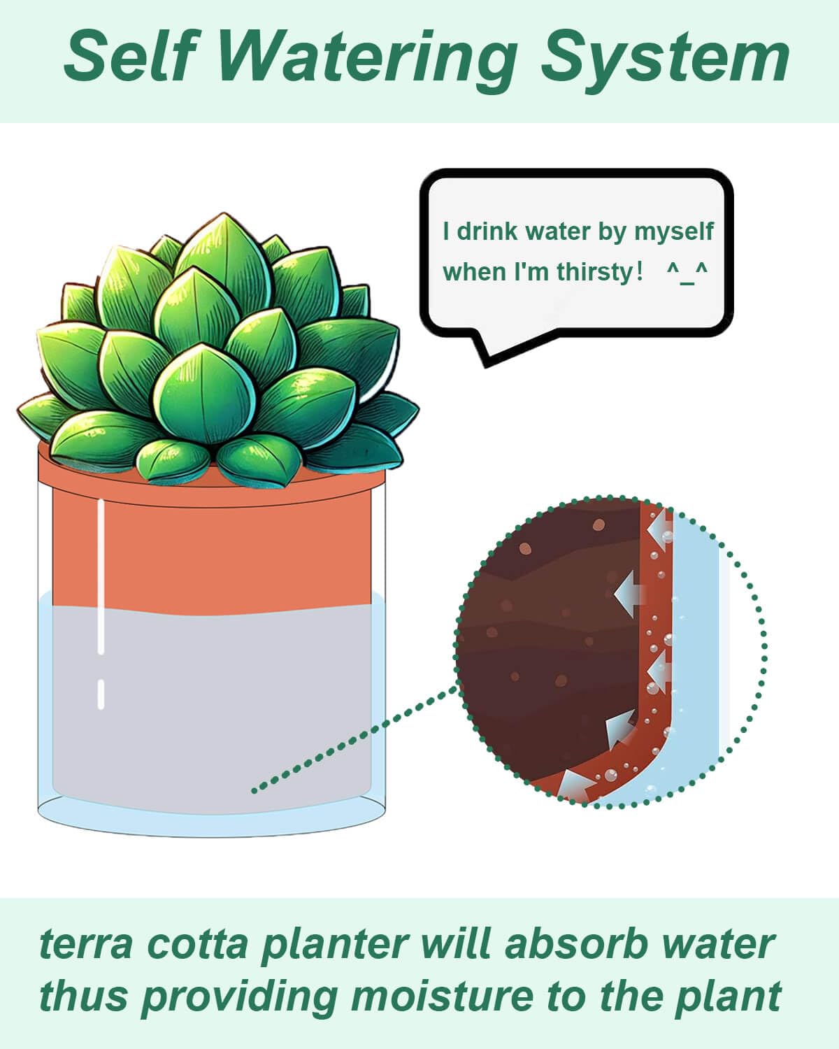 vensovo 4 Inch 6 Inch Self Watering Pots for Indoor Plants - Terracotta Self Watering Planters for Indoor Plants, Terra Cotta Plant Pots with Glass Reservoir, Set of 2