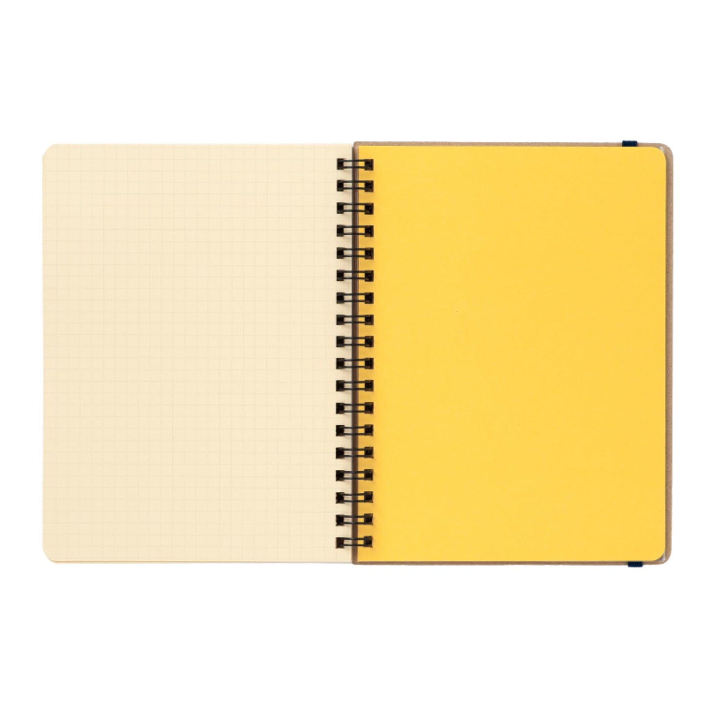 Delfonics Rollbahn Spiral Notebooks: 6-1/2 in x 8.5 in. (Cream)