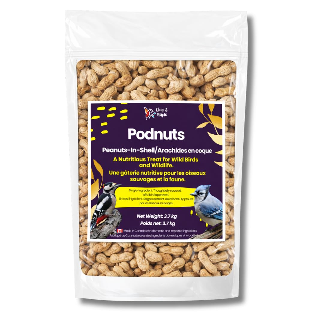 Chirp & Maple, Podnuts - Unsalted Peanuts in Shell for Wild Birds and Wildlife, Raw Unroasted, Premium Wild Bird Food 3.7KG Bag