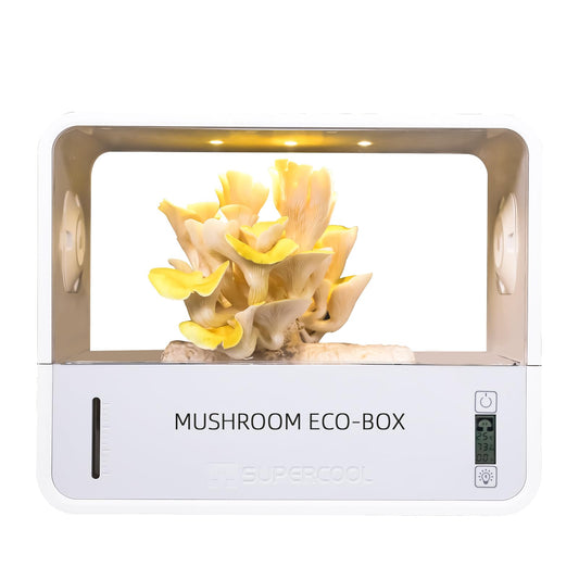 Crownow Mushroom Monotub Growing Kit with Temperature Display,Smart Mushroom Grow Tent with Automatically Adjusts Humidity,Mushroom Growing Box with Grow Light,Still Air Box for Mushroom Growers