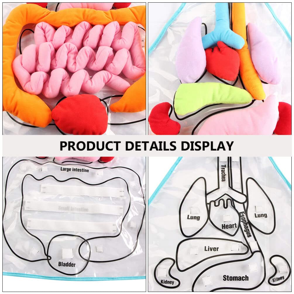 ULTECHNOVO Human Organs Apron Educational Teaching Apron for Children Early Learning Body Organ Model 23.62X17.32In Anatomy for Kindergarten Classroom Activities