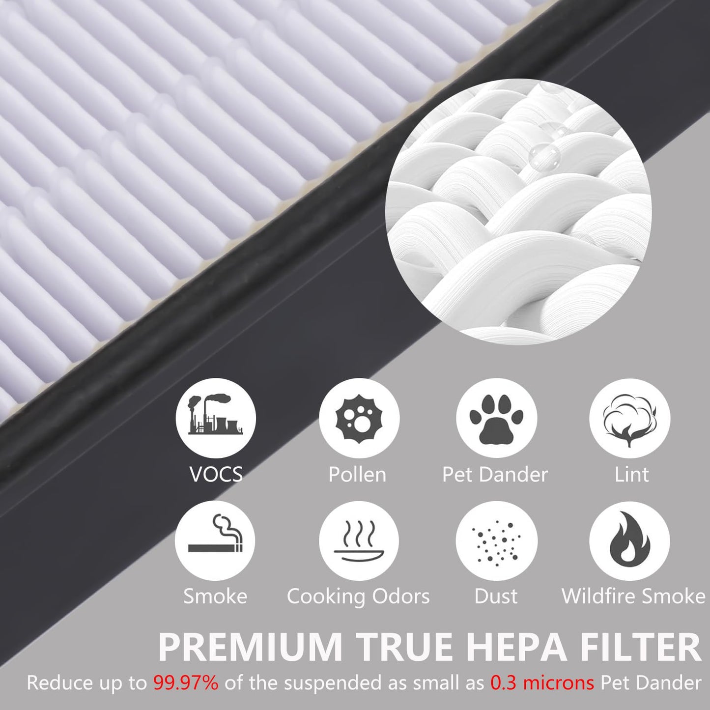 4 True HEPA Replacement Filter H & 8 Carbon Pre Filter B HRF-H1 HRF-H2 Compatible with Honeywell H, HPA050, HPA150, HPA160, HPA060, HHT055, HHT155 Air Purifier