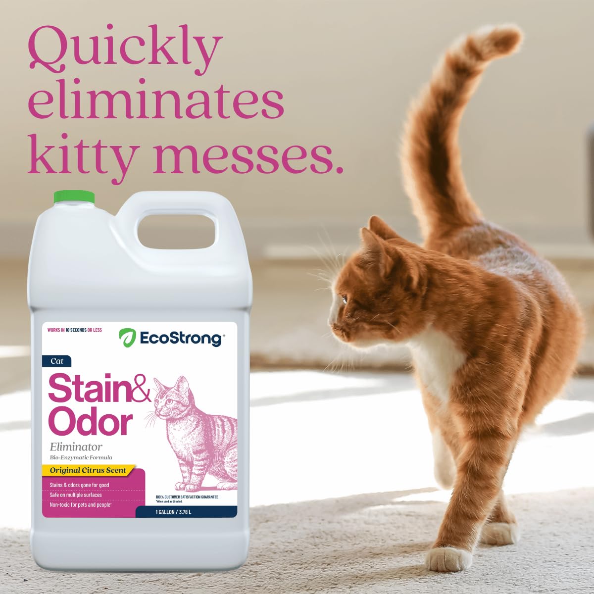 Cat Stain And Odor Remover | Enzyme Urine Odor Neutralizer - Stain Remover for Carpet, Litter Boxes, Bedding, and Laundry [Citrus Scent, 128 Oz]