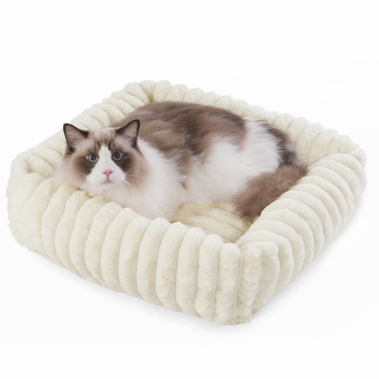 COSOC Cat Beds for Indoor Cats,Cozy Dog Bed for Small Dogs,Kitten Bed,Removable Washable Cover Puppy Beds Cream Plush,Pet Bed Medium Size (20x19x6 inches)