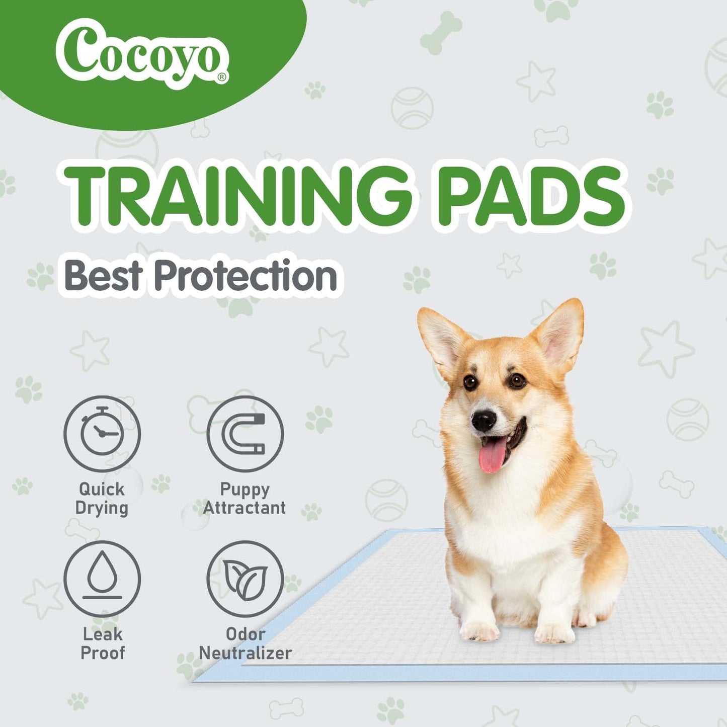 COCOYO Dog Training Pads Large Size丨Eliminating Urine Odor Puppy Pads 丨 Premium Dog Pee Pads Value Pack (75 Count, L 26x30 inch)