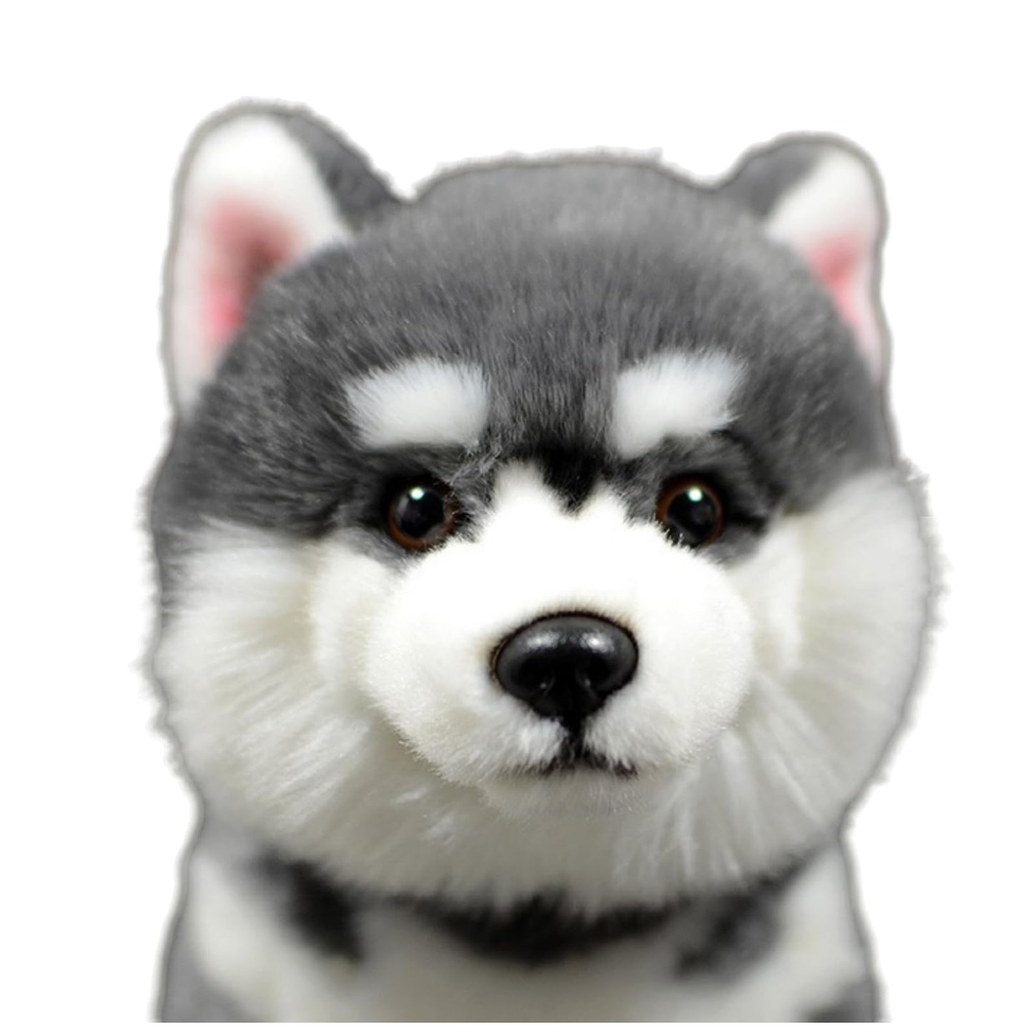 FRANKIEZHOU Lifelike Husky Stuffed Animal, Gray, 11" Alaskan Malamute Plush Toy, Realistic Dog Stuffed Animal, Soft and Durable, Anxiety Relief, Gift for Kids, Home Decor, Hugging Toy