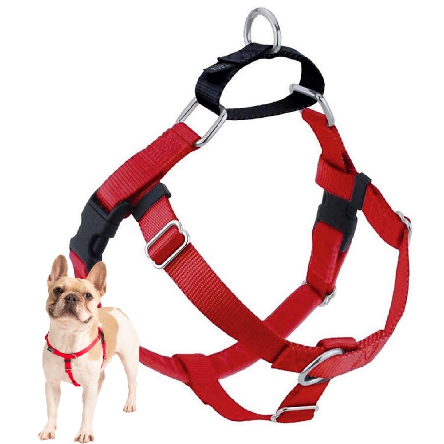2 Hounds Design Freedom No Pull Dog Harness | Adjustable Gentle Comfortable Control for Easy Dog Walking | for Small Medium and Large Dogs | Made in USA | Leash Not Included | 1" XL Red