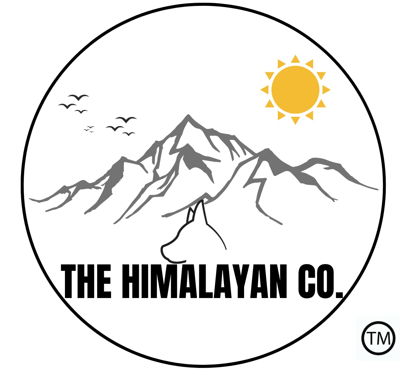 Beef Tails Dog CHEW Treat - *(6-10 Beef Tails 12 INCH/500 Grams)* - Cow Tails - Rawhide Free - All Natural - Long Lasting Dog CHEW - Beef Tail - Beef Treat for Dogs