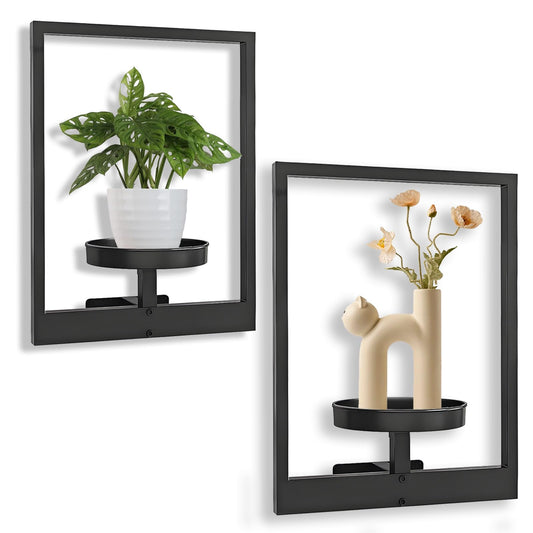 BIRGILT Picture Frame Wall Plant Holder - Window Plant Shelf - Modern Style Plant Stand Indoor, Plant Shelves Indoor - Metal Plant Shelf Wall Decor - 2 Pack, Black (Pot & Plant Not Included)