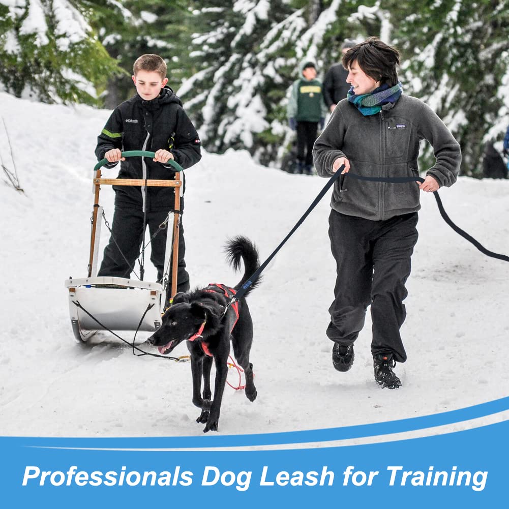 Vivifying Waterproof Long Dog Leash, 32Feet/10M Durable PVC Long Training Lead with Padded Handle Great for Medium Large Dogs Training, Hiking, Swimming, Beach and Yard (Black)