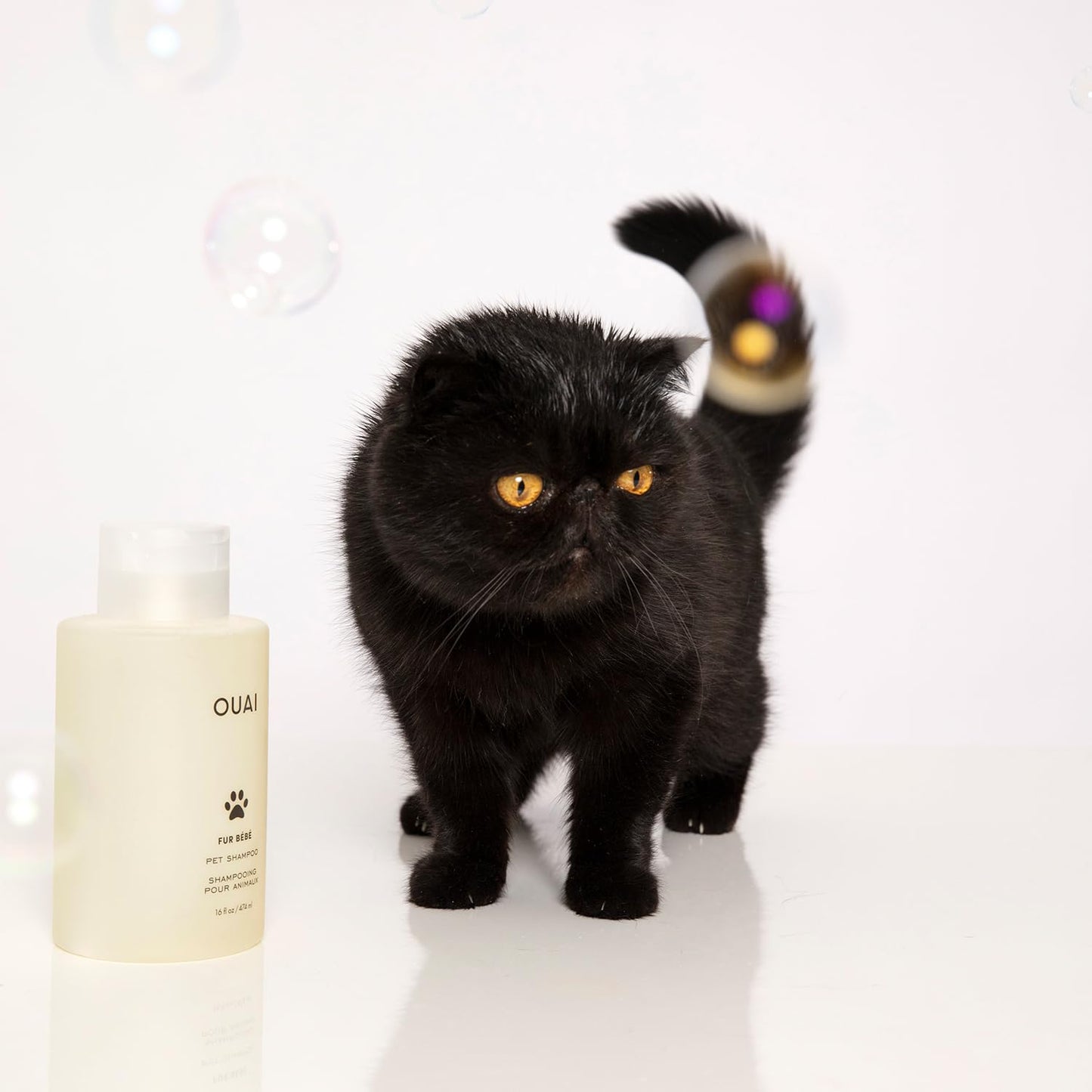 OUAI Fur Bébé Pet Shampoo - Cat & Dog Shampoo for Gentle Cleansing, Hydration & Shine - Vegan & Cruelty-Free Pet Supplies with Aloe Vera & Panthenol - Mercer Street Scent (16 Fl oz)