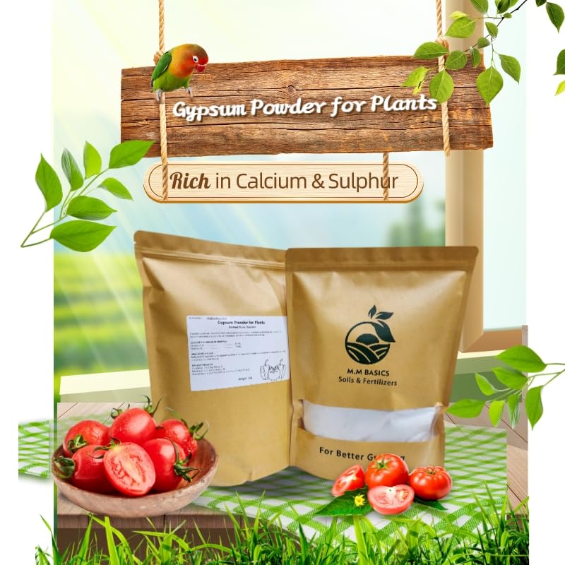 5 LB, Gypsum for Plants, Water Soluble, Rich in Calcium and Sulphur, Benefits Soil Structure, Porosity, Air Circulation, and Water Infiltration and Drainage (Gypsum 5 LB)