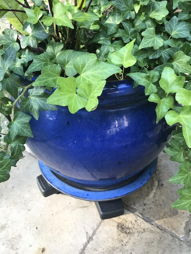 Bosmere S14410 Down Under Plant Caddie, 14", Black