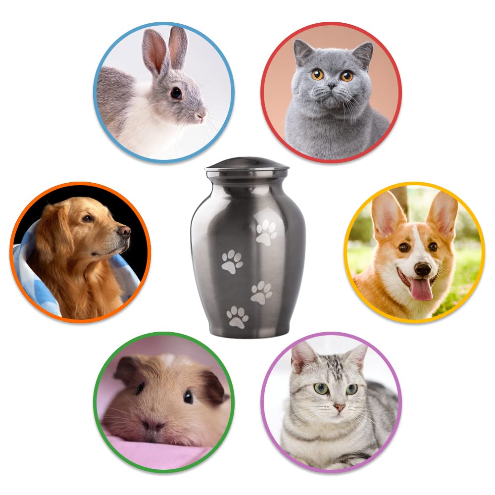 PCS Memorial Pet Cremation Urns for Dogs and Cats Ashes, Paw Engraved Pet Urn, Dog Keepsake Urns for Ashes-Medium