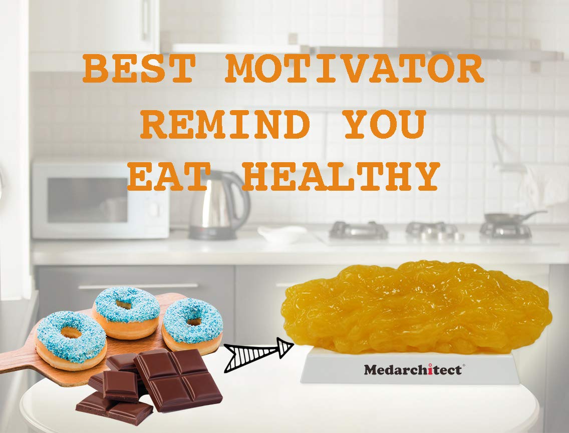 Authentic Human Body Fat Replica, Keep Fit & Weight Loss Motivation & Reminder, Human Fatty Tissue Demonstration Model for Nutritionist, Anatomical Science Course for Medical Student (5 lb)