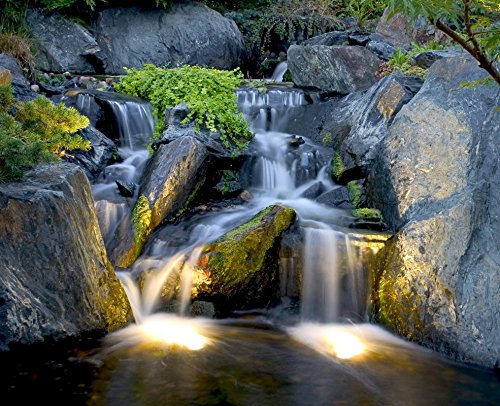 Aquascape Submersible LED 1W Spotlight for Pond, Garden & Landscape Features