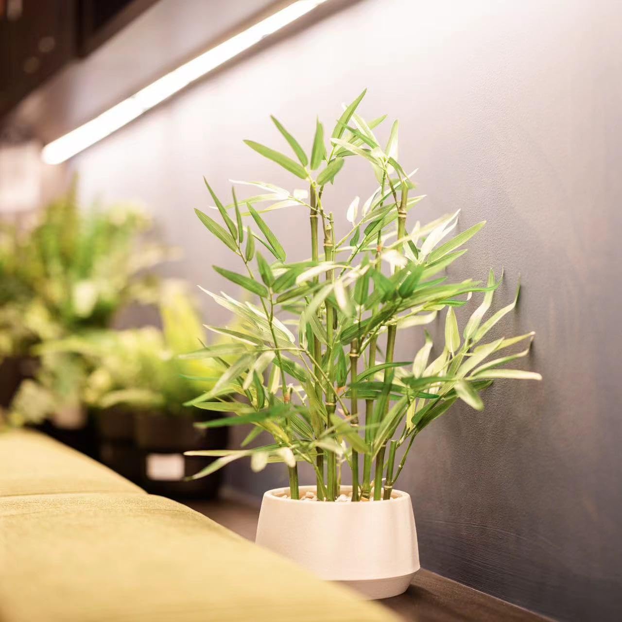 365 Blooming Decor 18 inch Tall White Potted Faux Bamboo Plant- Luxury Artificial Bamboo Tree in White Pot for Home, Office, Kitchen, Indoor Decor, Money Tree, Lucky Bamboo Tree. (Canadian Owned!)