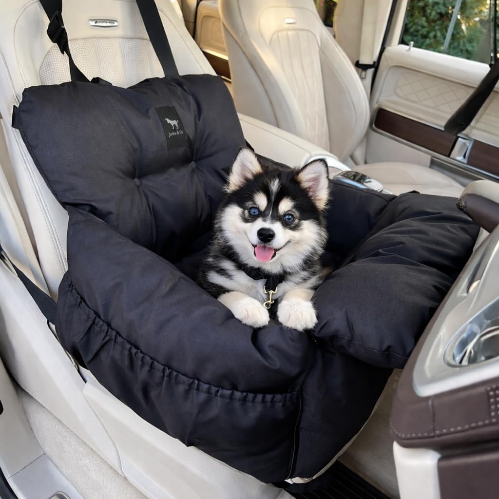 JACKO & CO - Premium Dog Car Seat Bed for Small & Medium Dogs, Soft Travel Bed & Carrier Bag for Pets, Puppies, Cats Front or Back Seat, Machine Washable & Water Resistant (Black, V1 Small (1-25lbs)