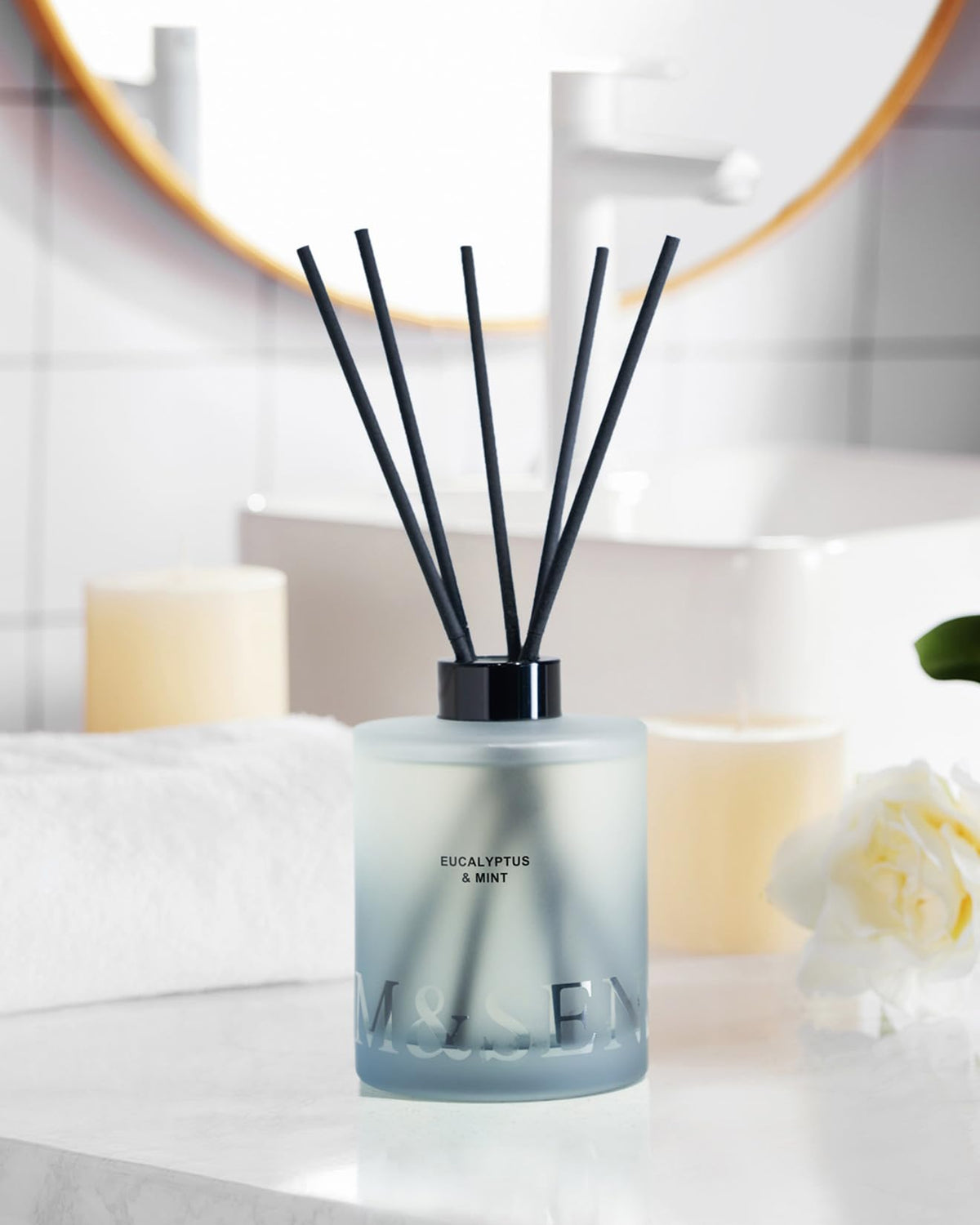 M&SENSE Eucalyptus & Mint Reed Diffuser Set - 16.9 fl oz Long-Lasting Fragrance, Non-Toxic Scent Diffuser with Natural Oil Sticks | Housewarming Diffuser Gift for Men Women, Bathroom & Home Decor