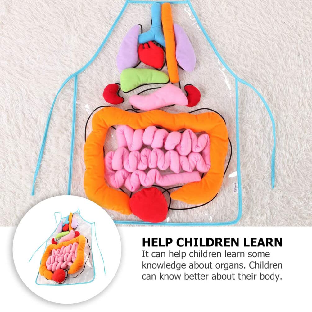 ULTECHNOVO Human Organs Apron Educational Teaching Apron for Children Early Learning Body Organ Model 23.62X17.32In Anatomy for Kindergarten Classroom Activities