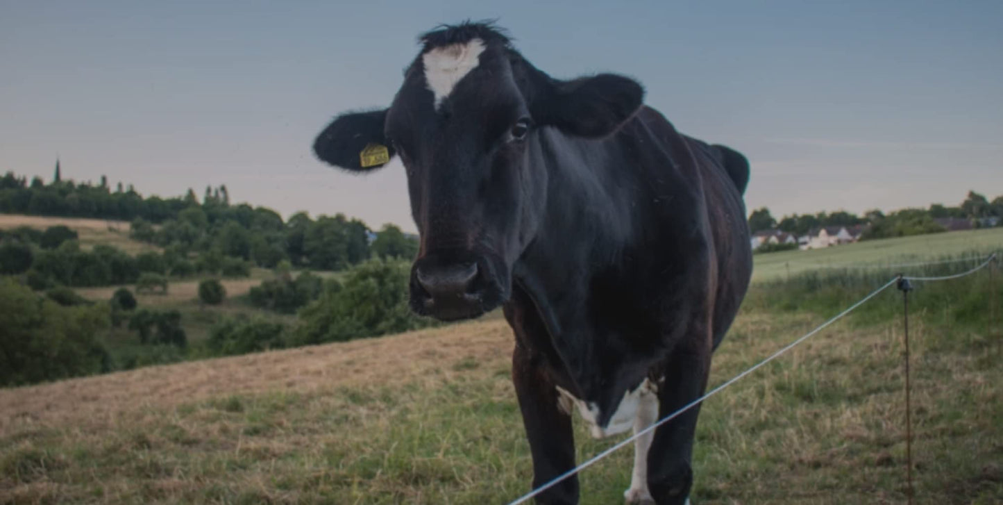 AgriOtter Electric Fence Energizer 40 Acre 2 in 1 Powered by Battery or AC Outlet 12000V 2J Pulse Electric