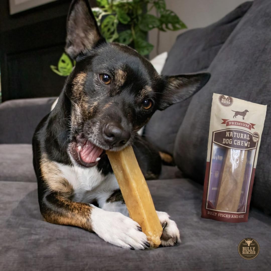 Bully Bunches Medium Authentic Yak Cheese Himalayan Chews for Medium & Small Dogs - All Natural Dog Treat Dental Chews, Made with Real Yak Milk - Lactose & Rawhide Free (6 Pk)