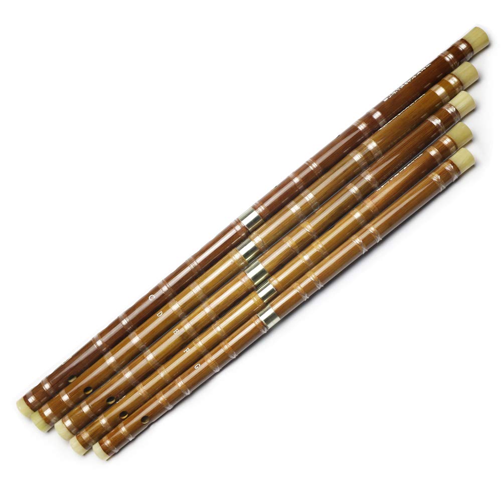 D Key Dizi Bitter Bamboo Flute for Beginners with Free Membrane & Glue & Protector Set Traditional Chinese Instrument（Key of D/Bitter Bamboo）