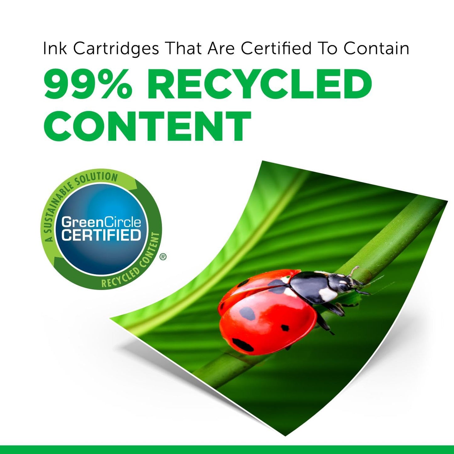 CIG Remanufactured High Yield Black Ink Cartridge (Alternative for Canon 5206B001, PG-240XL) (300 Yield)