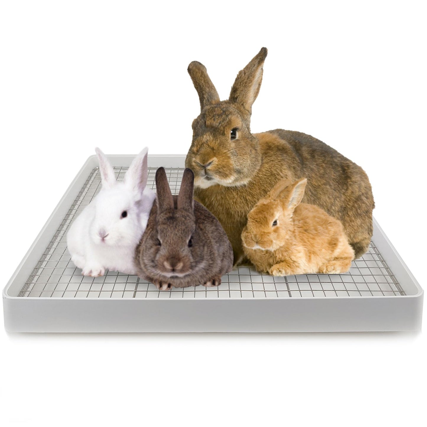 Extra Large Flemish Giant Rabbit Litter Box with Metal Grate, Bunny Toilet for Cage, Small Animal Potty Trainer