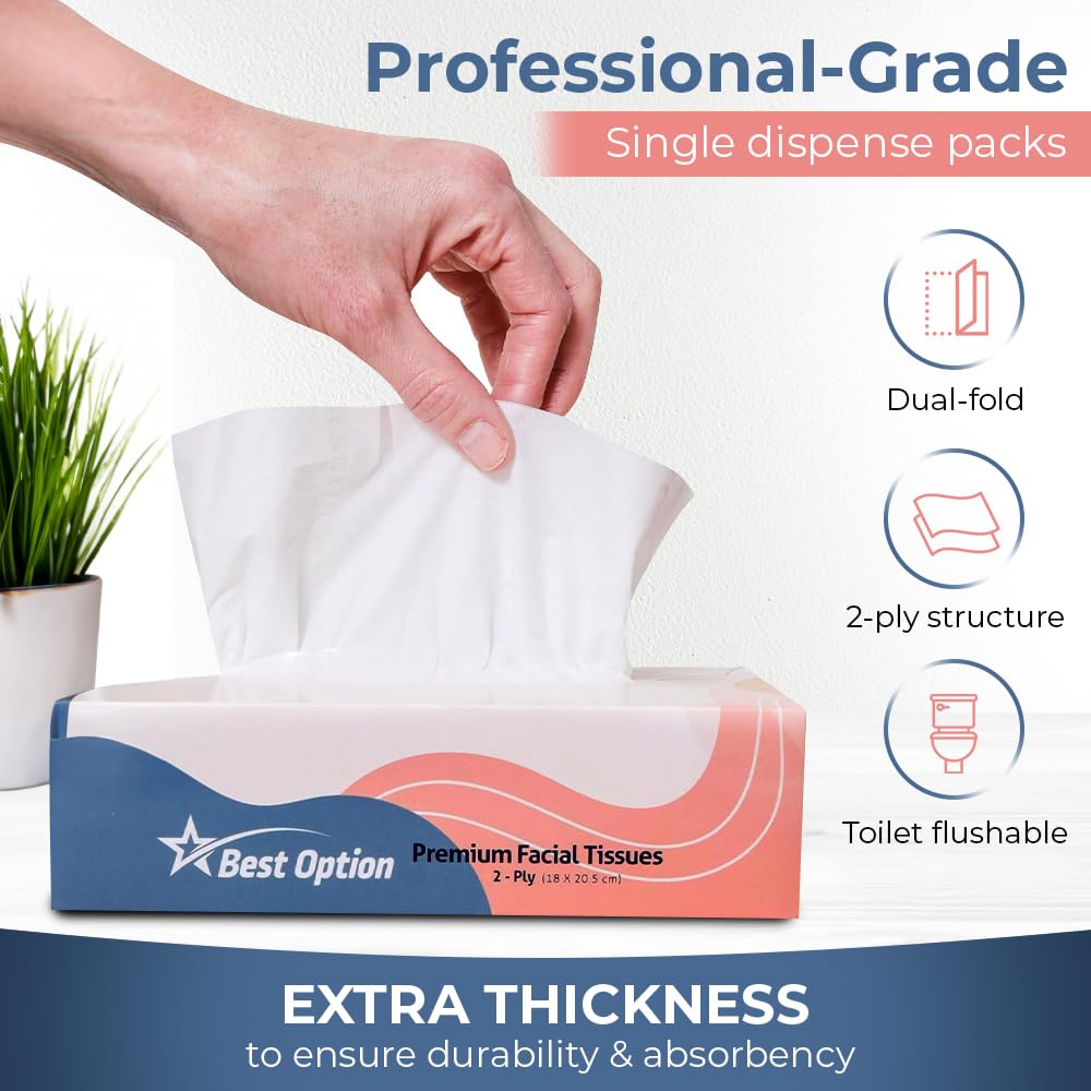 Soft 2-Ply Facial Tissue, White, 100-Count Box | Professional, Gentle and Durable | Great for Bathroom, Office, Business, School (1,200 Tissues, Bulk Pack of 12-Boxes)