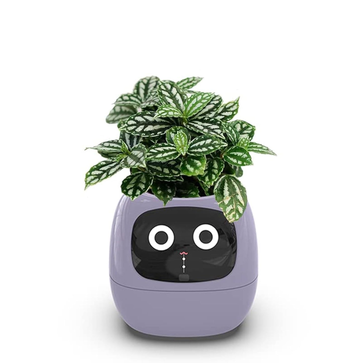 Smart Flowerpots,Smart Pet Planter,Ai Planter,Intelligent Flowerpots,Multiple Expressions,7 Smart Sensors, and Ai Chips Make Raising Plants Easy and Fun for Living Room,Desk Plant-Free(Purple)