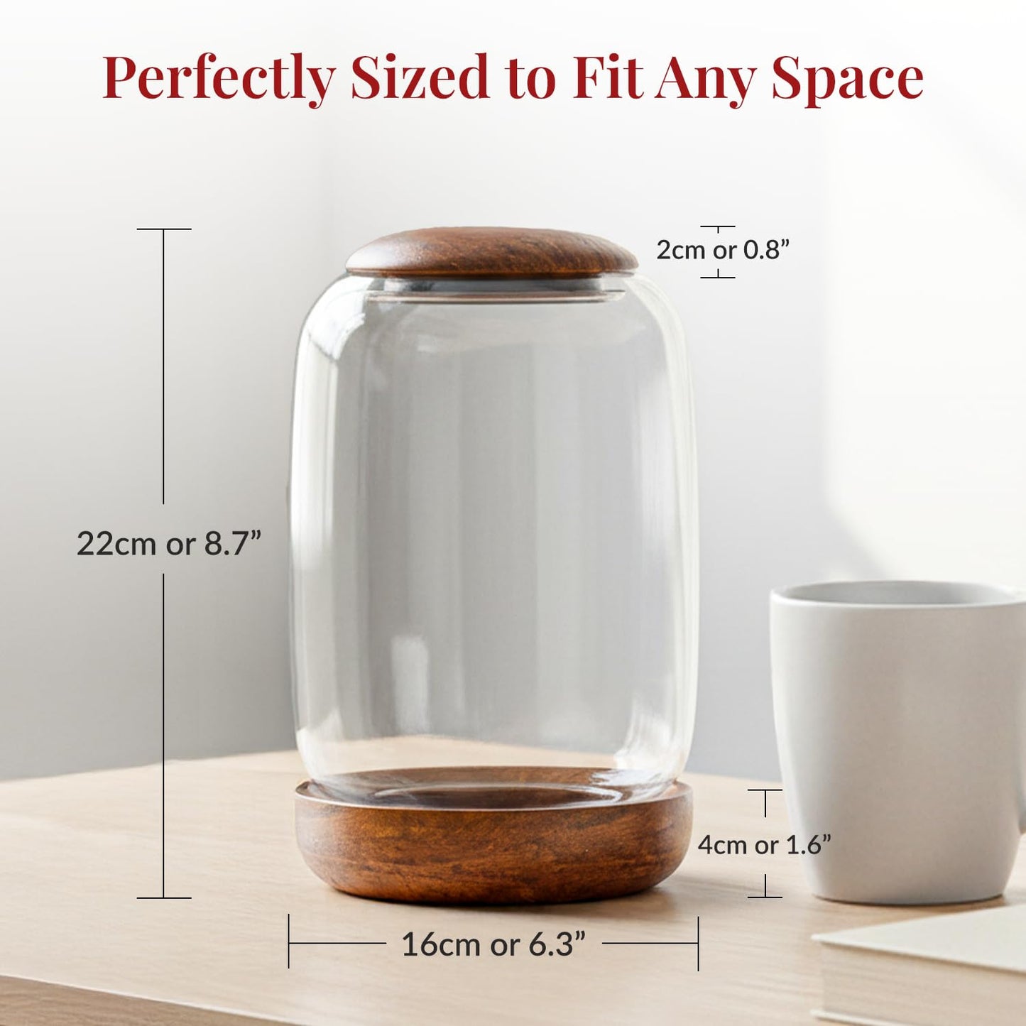 NoctisCorvus: Exclusive Glass Terrarium, Beautifully Enhanced by a Natural Wood lid and Base. Excellent for Plants and Betta Fish Tank. for Home and Office. Size: 6.3 Diameter by 8.7 Tall (Inches)